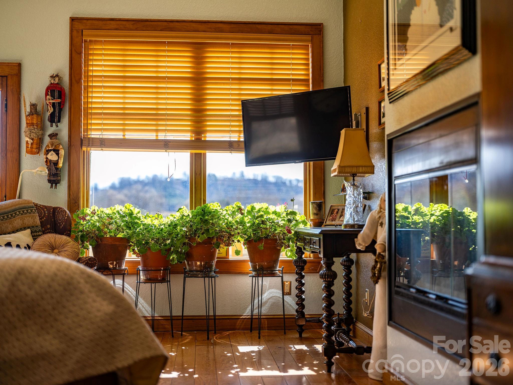 22 Mountain Spring Lane Canton, NC 28716 - Photo 22 of 48 a potted plant sitting in front of a house