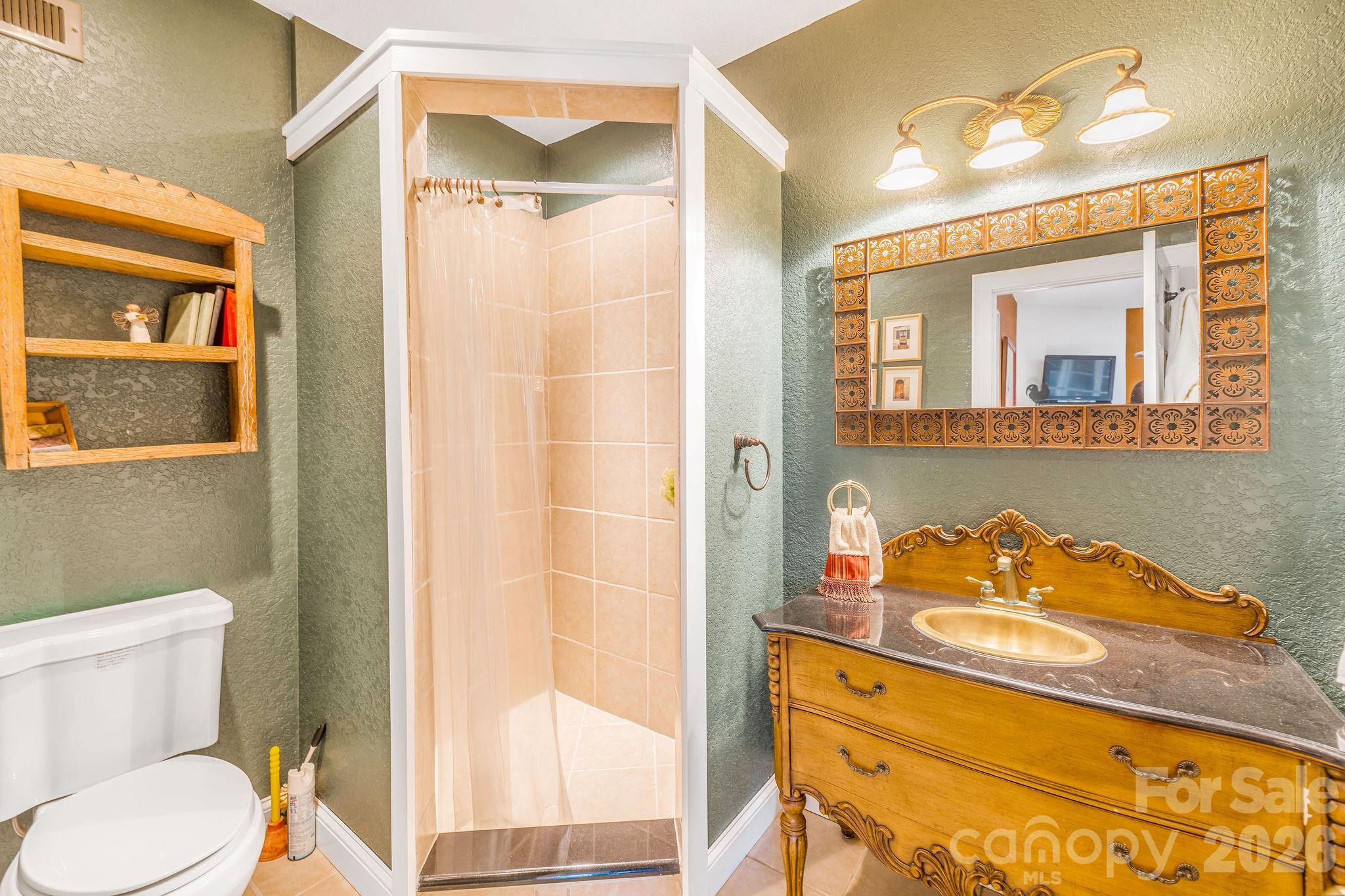 22 Mountain Spring Lane Canton, NC 28716 - Photo 38 of 48 a bathroom with a toilet a sink and a mirror