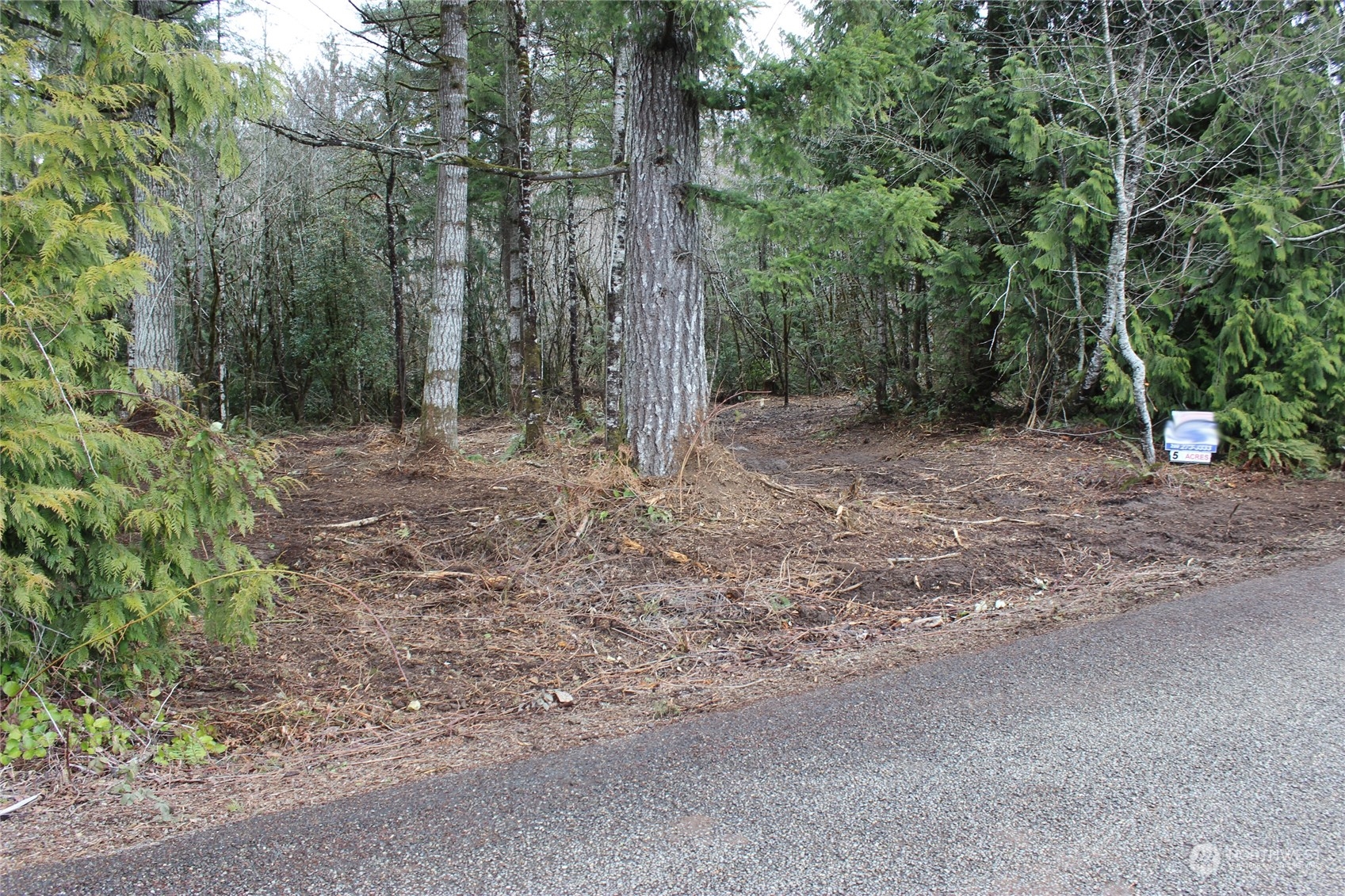 47 Alfredson Road Oakville, WA 98568 - Photo 1 of 11 Gallery Image 1