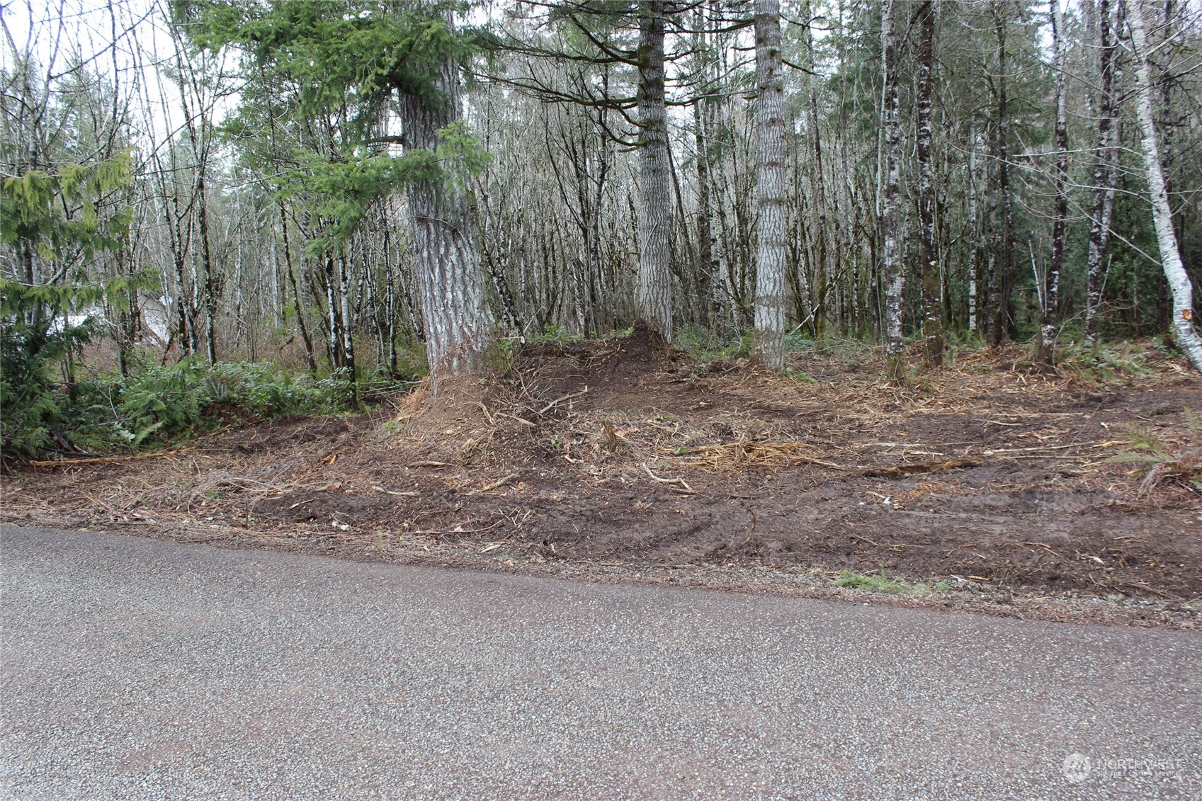 47 Alfredson Road Oakville, WA 98568 - Photo 11 of 11 Gallery Image 11