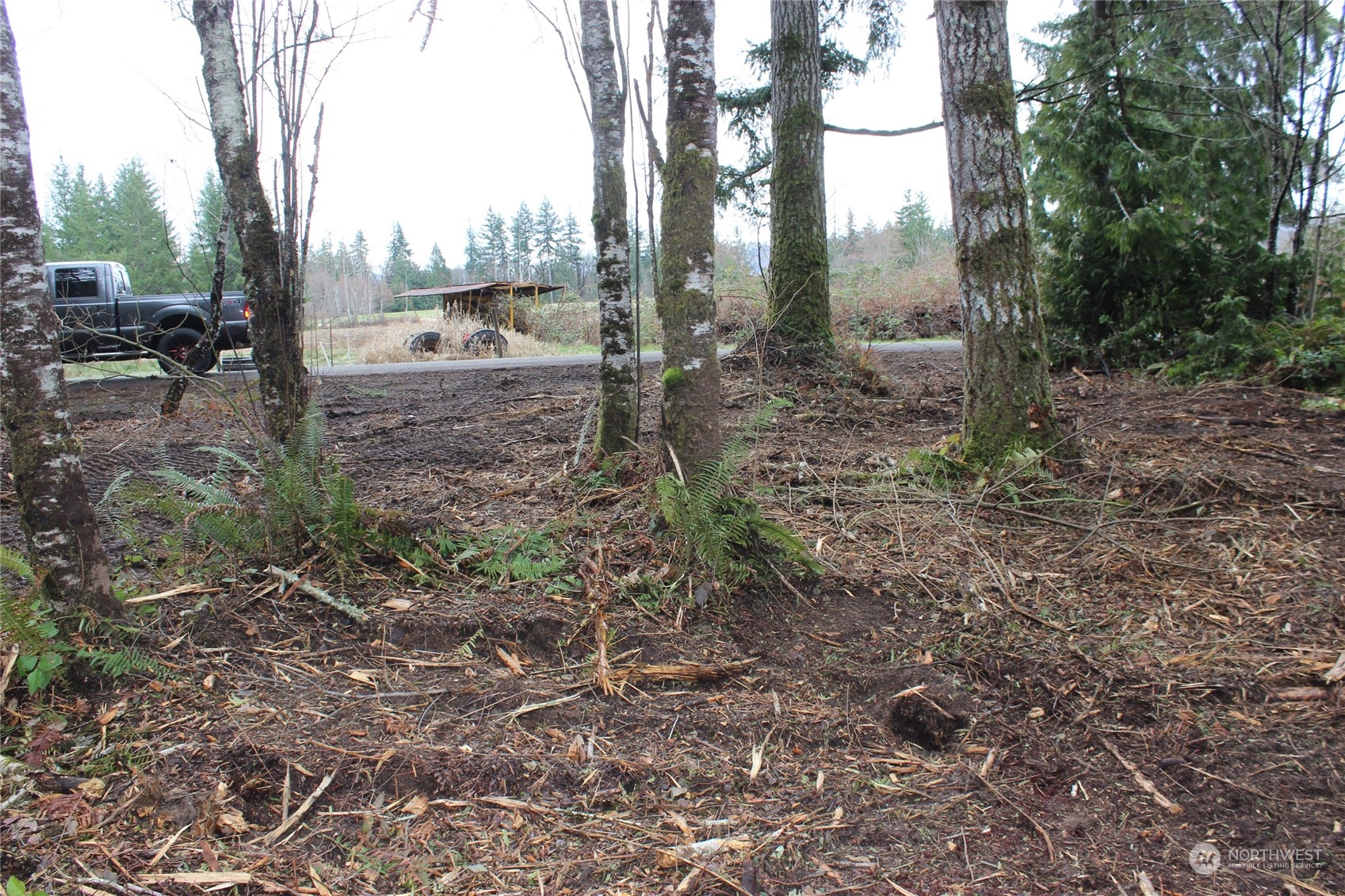 47 Alfredson Road Oakville, WA 98568 - Photo 8 of 11 Gallery Image 8