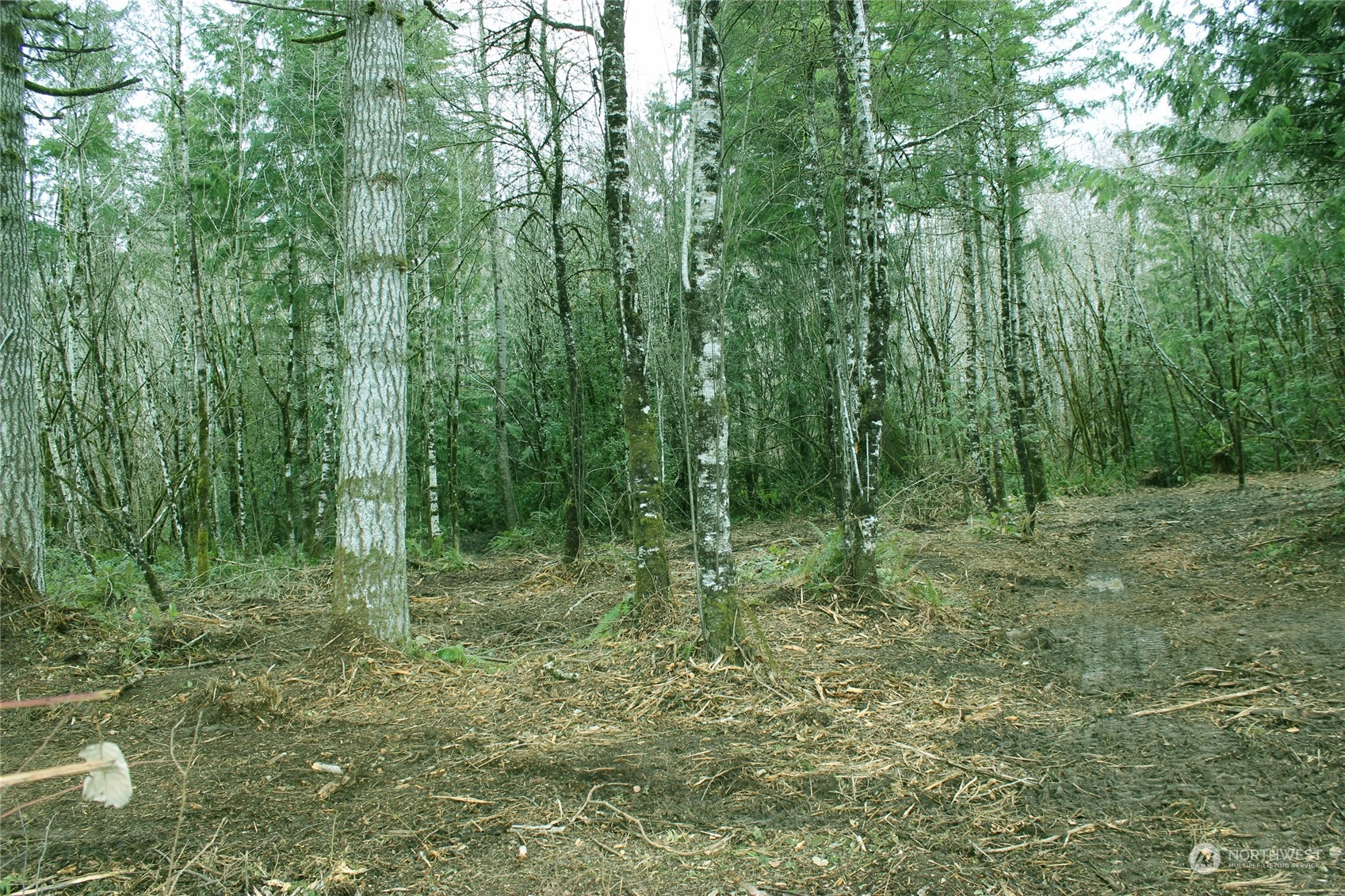 47 Alfredson Road Oakville, WA 98568 - Photo 10 of 11 Gallery Image 10