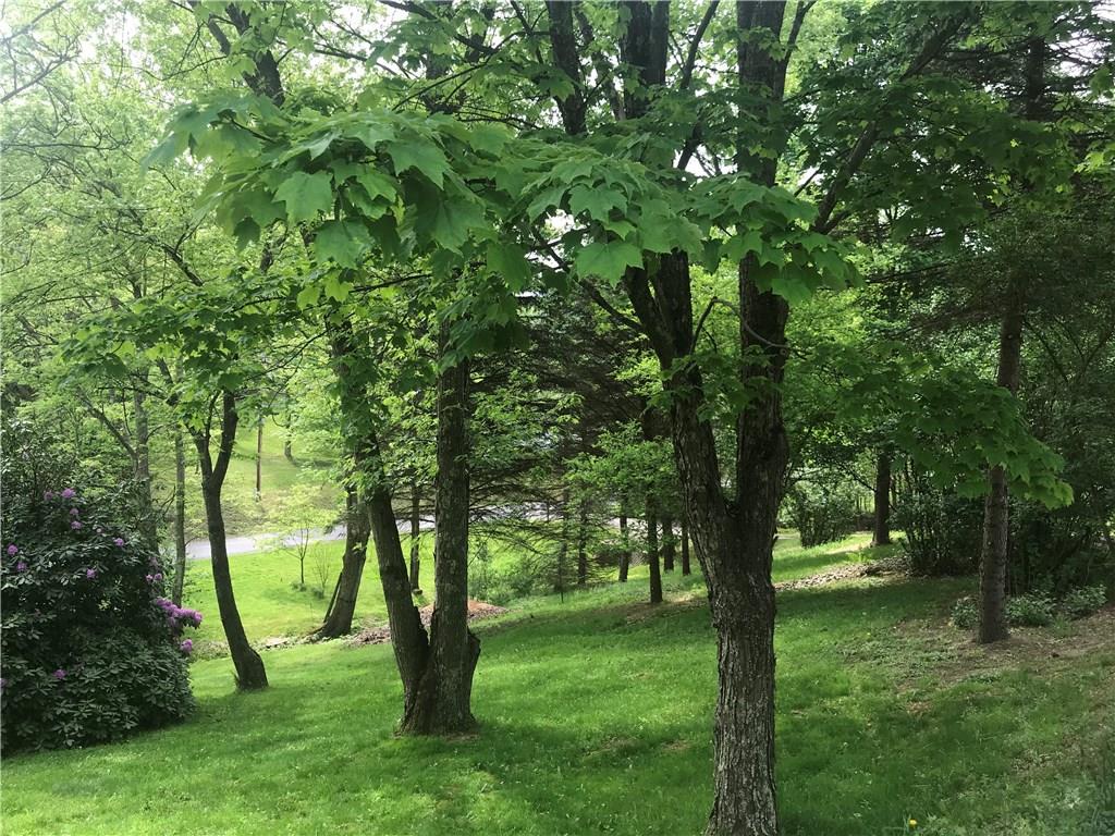 646 Stuchell Road Homer City, PA 15748 - Photo 20 of 20 Nice wooded lot.