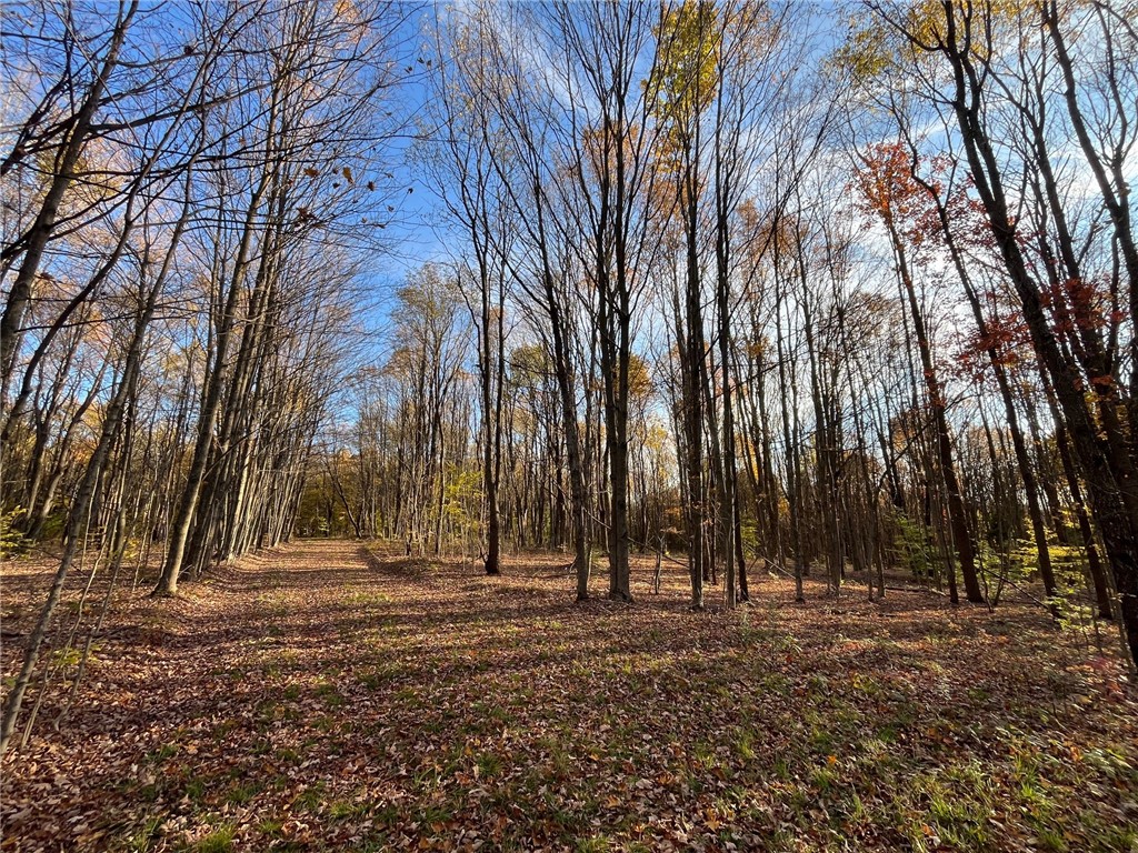 98 Nys Route Franklinville, NY 14737 - Photo 4 of 49 Gallery Image 4