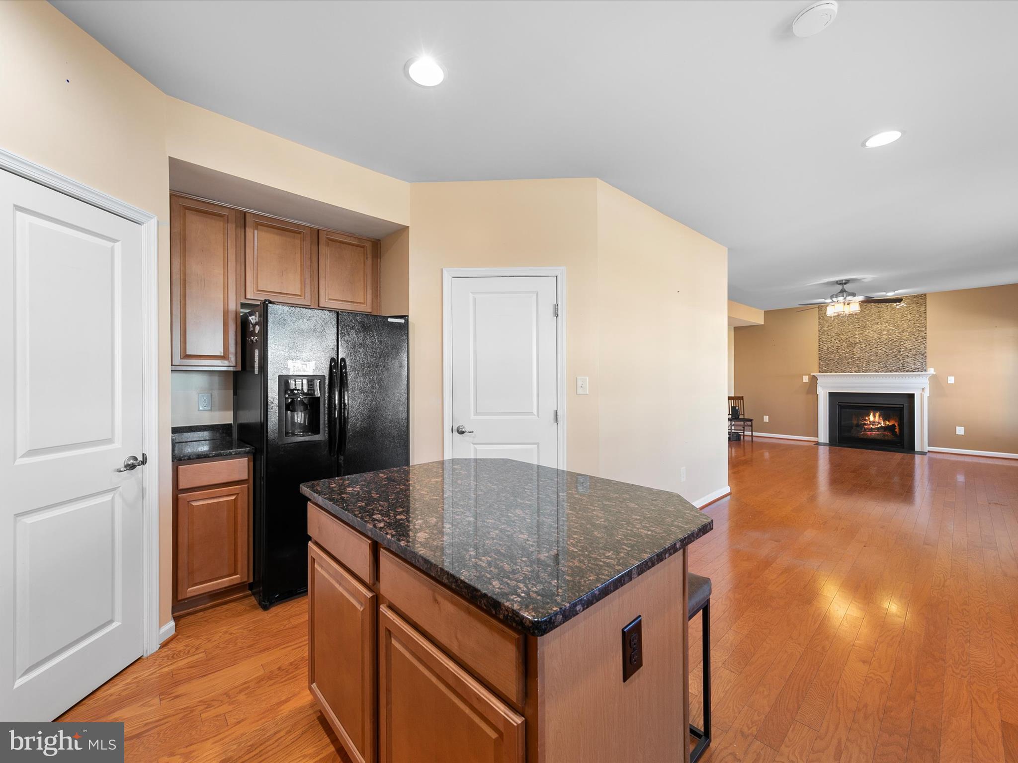 159 Bobbys Branch Road Millsboro, DE 19966 - Photo 15 of 43 Pantry, Island