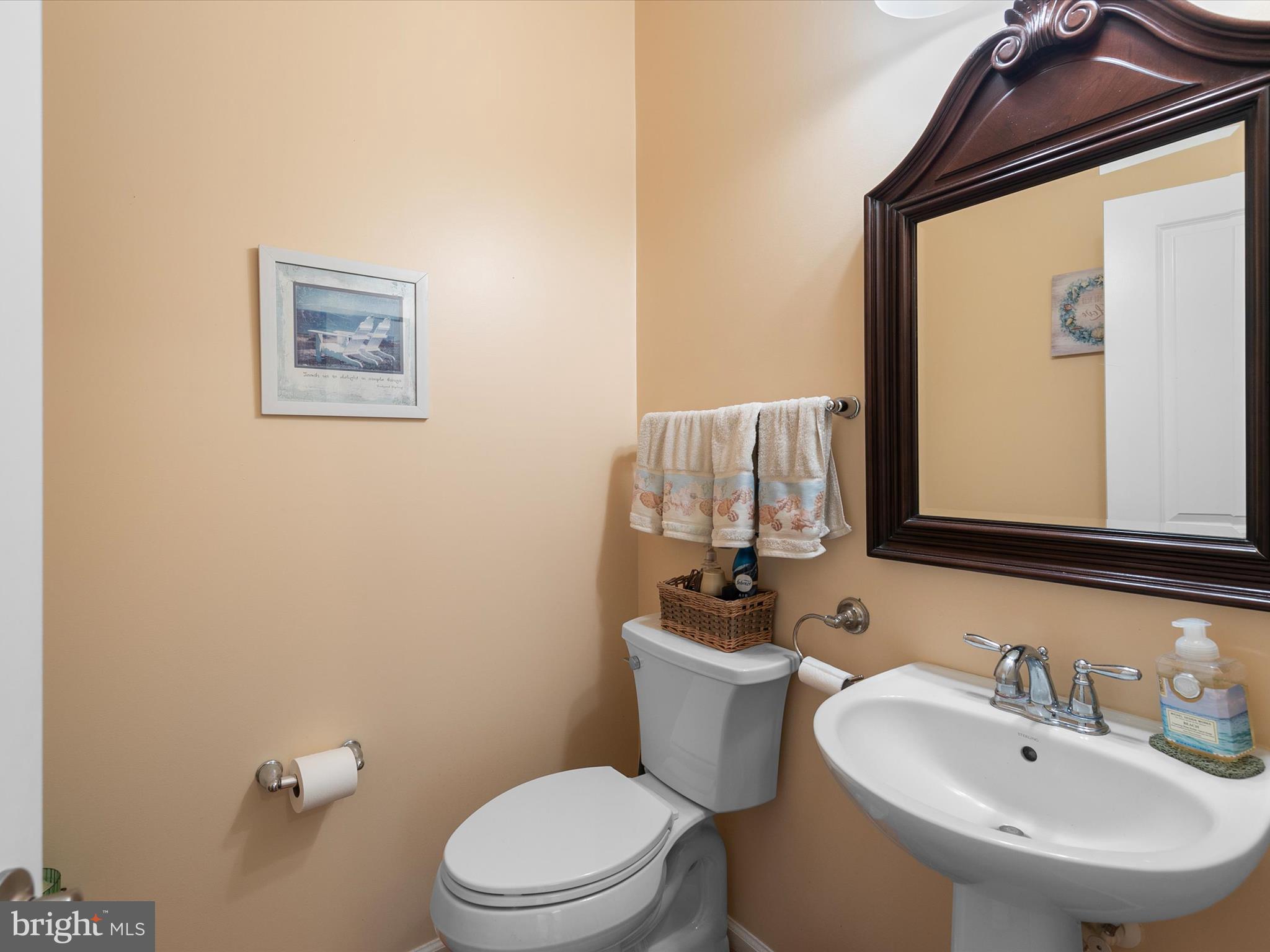 159 Bobbys Branch Road Millsboro, DE 19966 - Photo 18 of 43 Powder Bath