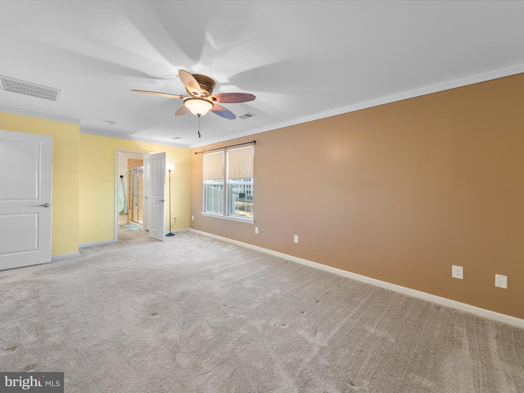 159 Bobbys Branch Road Millsboro, DE 19966 - Photo 20 of 43 Primary Bedroom