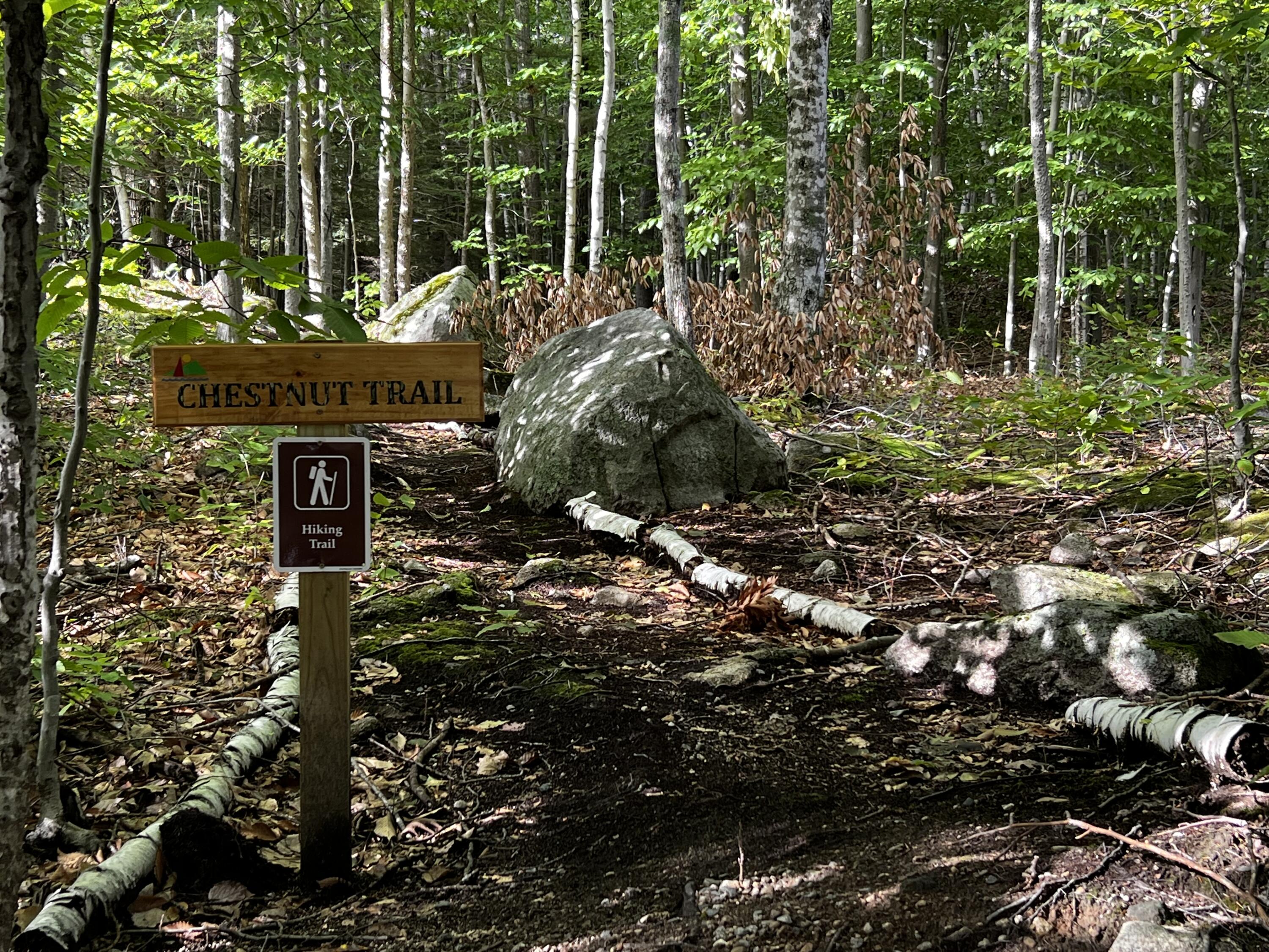 5 Chestnut Circle Standish, ME 04084 - Photo 6 of 20 1AF69781-9E48-40DC-A4C2-0E5B742E420B