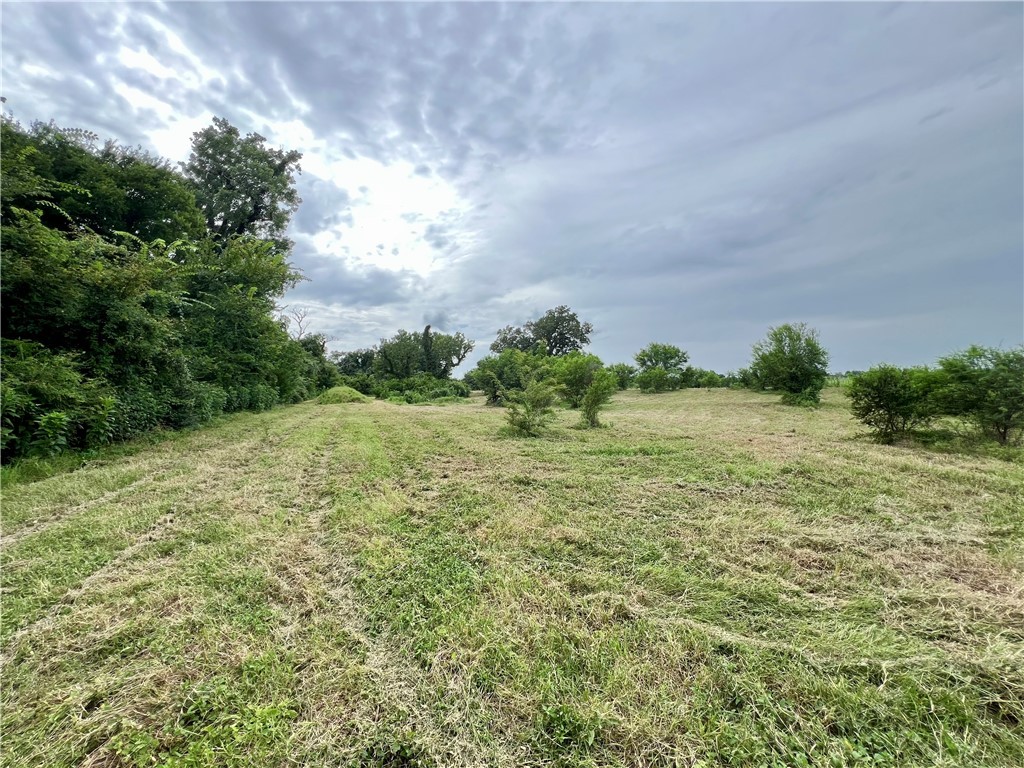 22.289-acres River Road College Station, TX 77845 - Photo 21 of 24 View