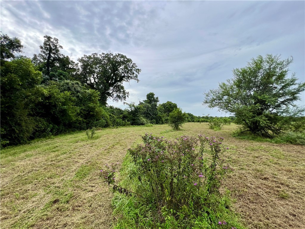 22.289-acres River Road College Station, TX 77845 - Photo 22 of 24 View