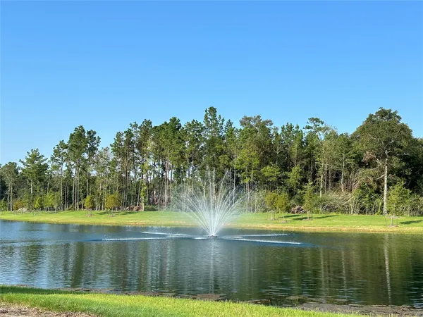 $2,300 | 16530 Pine Arrow Drive, Conroe, TX 77302
