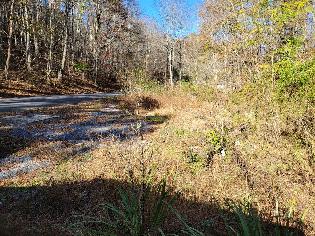 9097 Old Mill Road Glade Spring, VA 24340 - Photo 8 of 22 Gallery Image 8