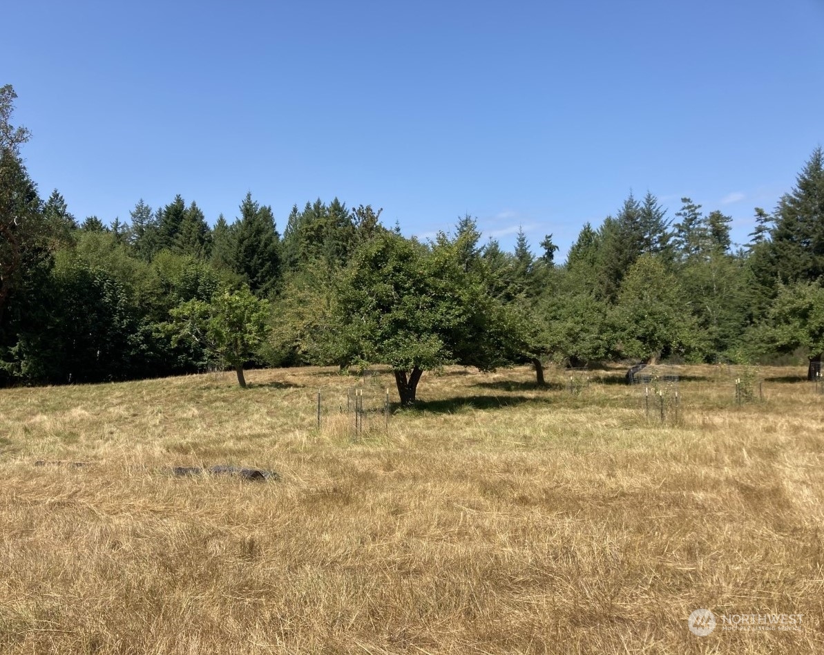 0 Borgeson Road Quilcene, WA 98376 - Photo 12 of 16 Gallery Image 12