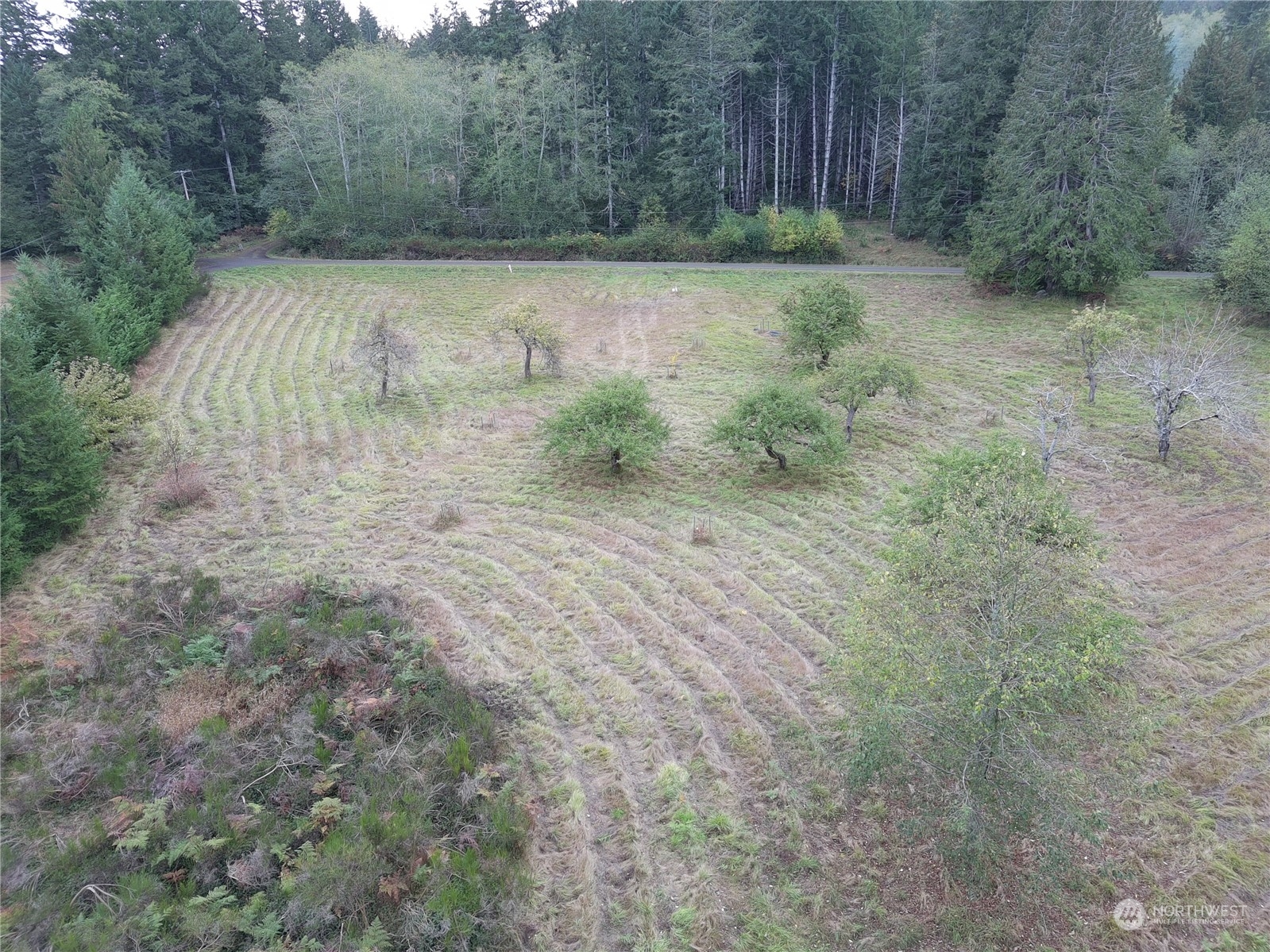 0 Borgeson Road Quilcene, WA 98376 - Photo 3 of 16 Gallery Image 3