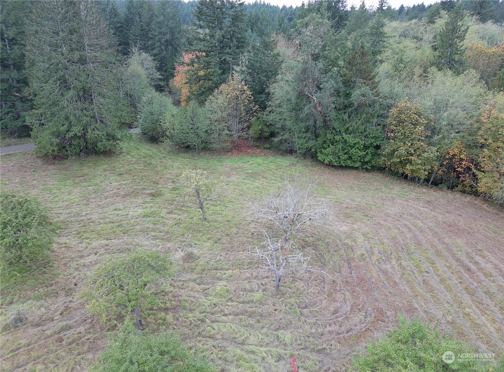 0 Borgeson Road Quilcene, WA 98376 - Photo 5 of 16 Gallery Image 5