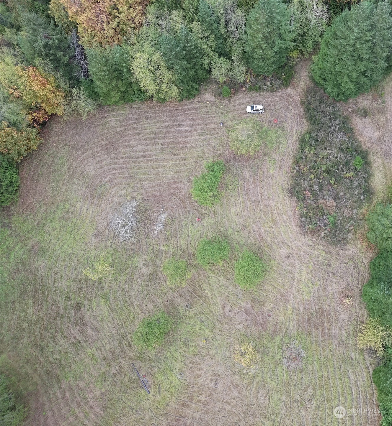 0 Borgeson Road Quilcene, WA 98376 - Photo 8 of 16 Gallery Image 8