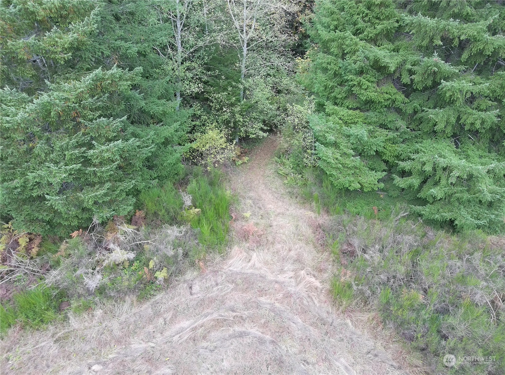 0 Borgeson Road Quilcene, WA 98376 - Photo 10 of 16 Gallery Image 10