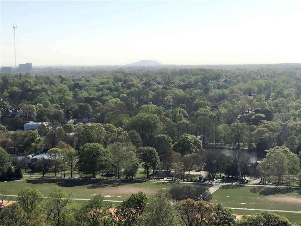 199 14th Street Northeast, Unit 2605 Atlanta, GA 30309 - Photo 26 of 48