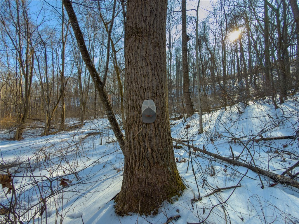 Beardmore Road Wingett Run, OH 45789 - Photo 40 of 43