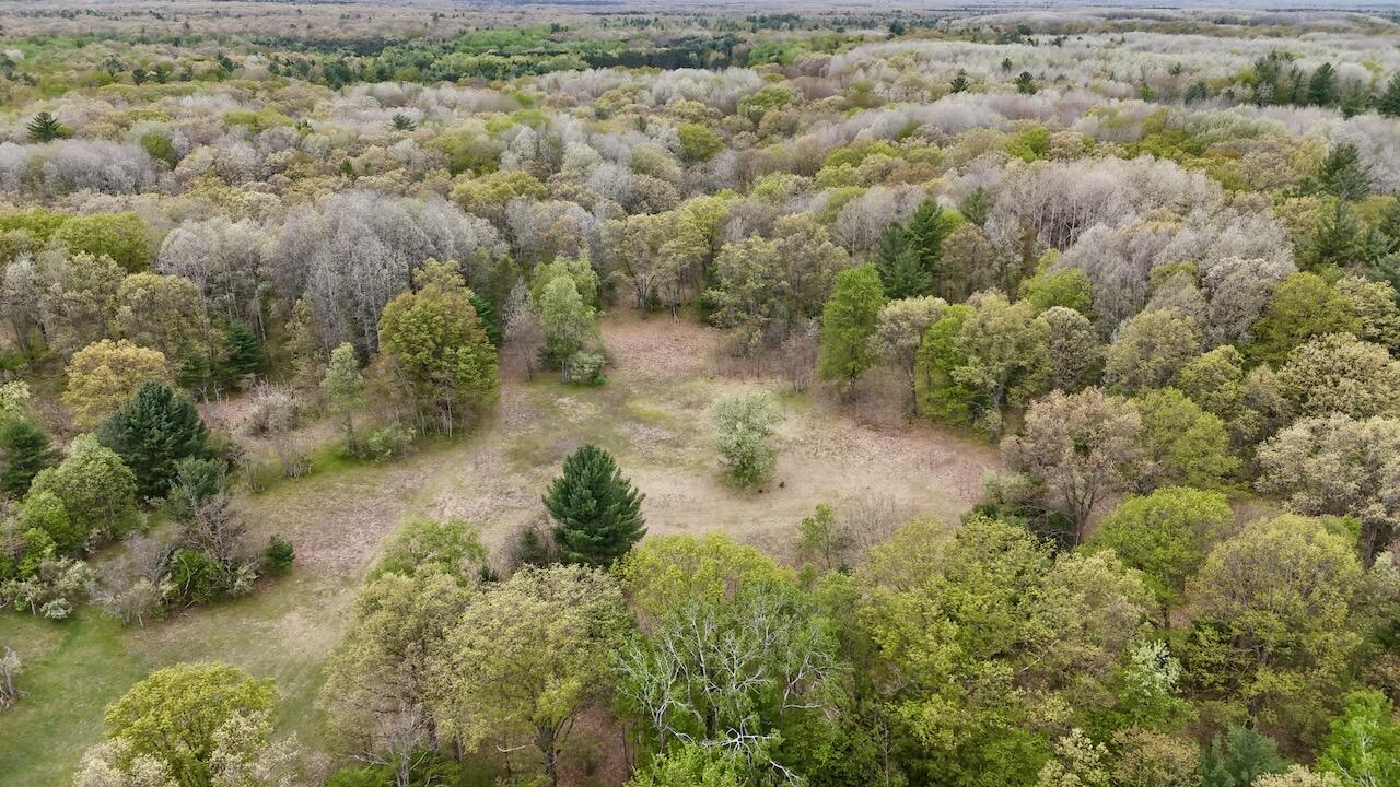 6153 South Branch Road Branch, MI 49402 - Photo 4 of 70 002