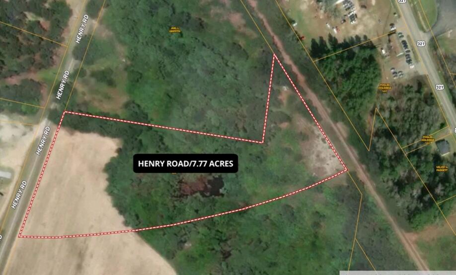 0 Henry Road Neeses, SC 29107 - Photo 5 of 5 Screenshot_20240108_170322_Acrobat for S