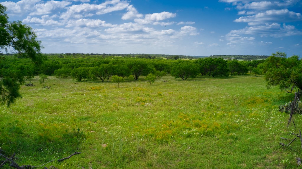 509 Sandy Lane Road Mason, TX 76856 - Photo 5 of 8
