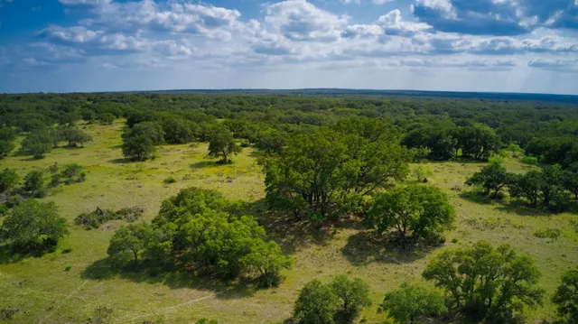 an aerial view of residential houses with outdoor space and trees all around