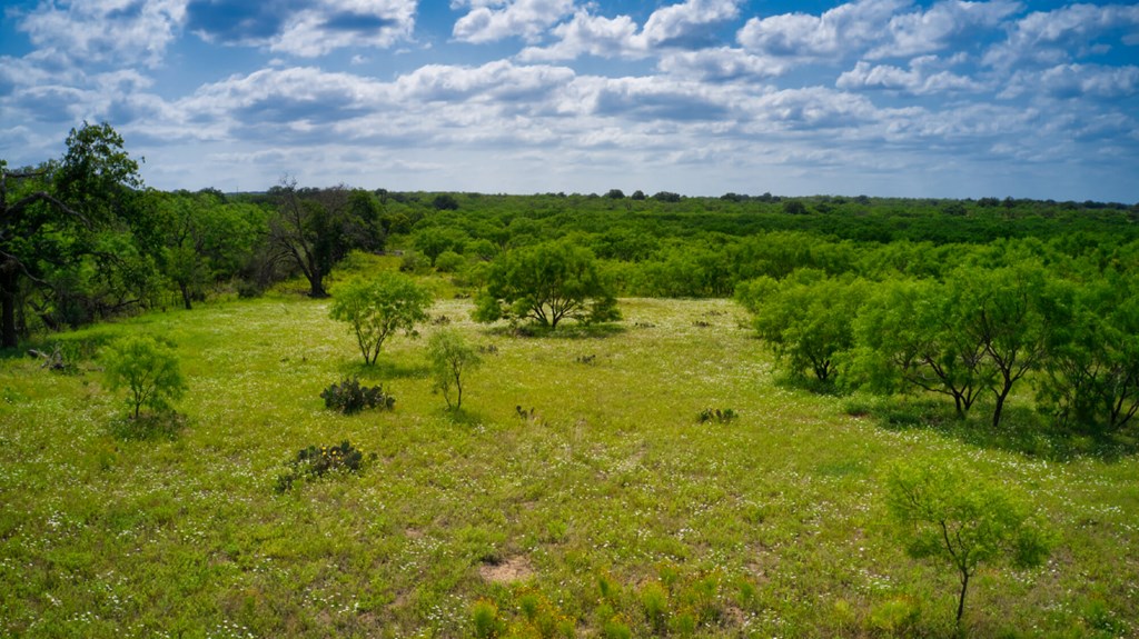 509 Sandy Lane Road Mason, TX 76856 - Photo 8 of 8
