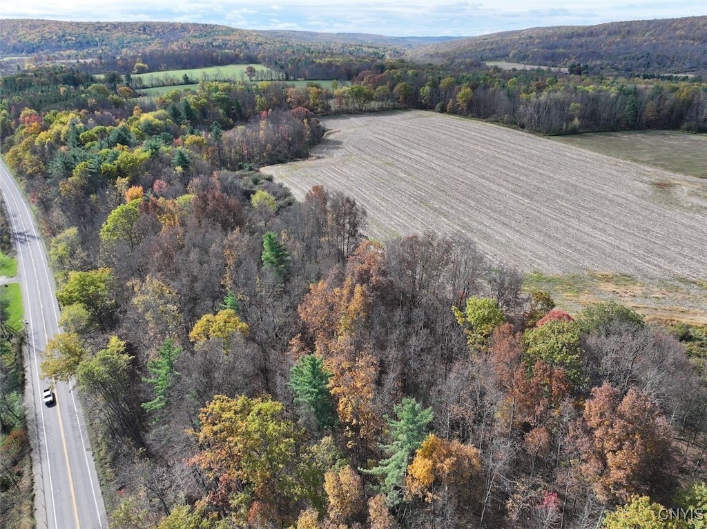 White Creek Road Belfast, NY 14711 - Photo 11 of 21