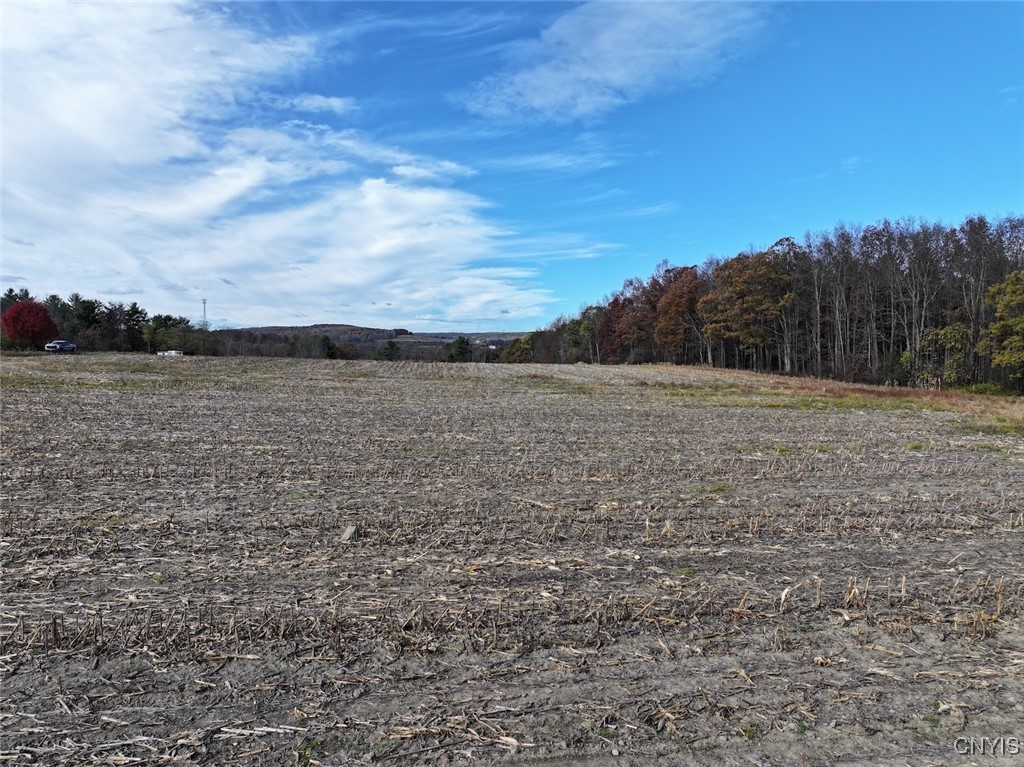 White Creek Road Belfast, NY 14711 - Photo 14 of 21