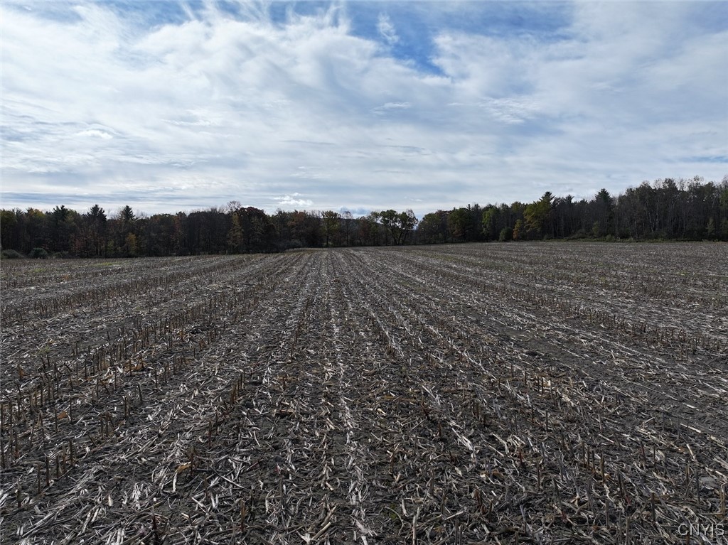 White Creek Road Belfast, NY 14711 - Photo 15 of 21