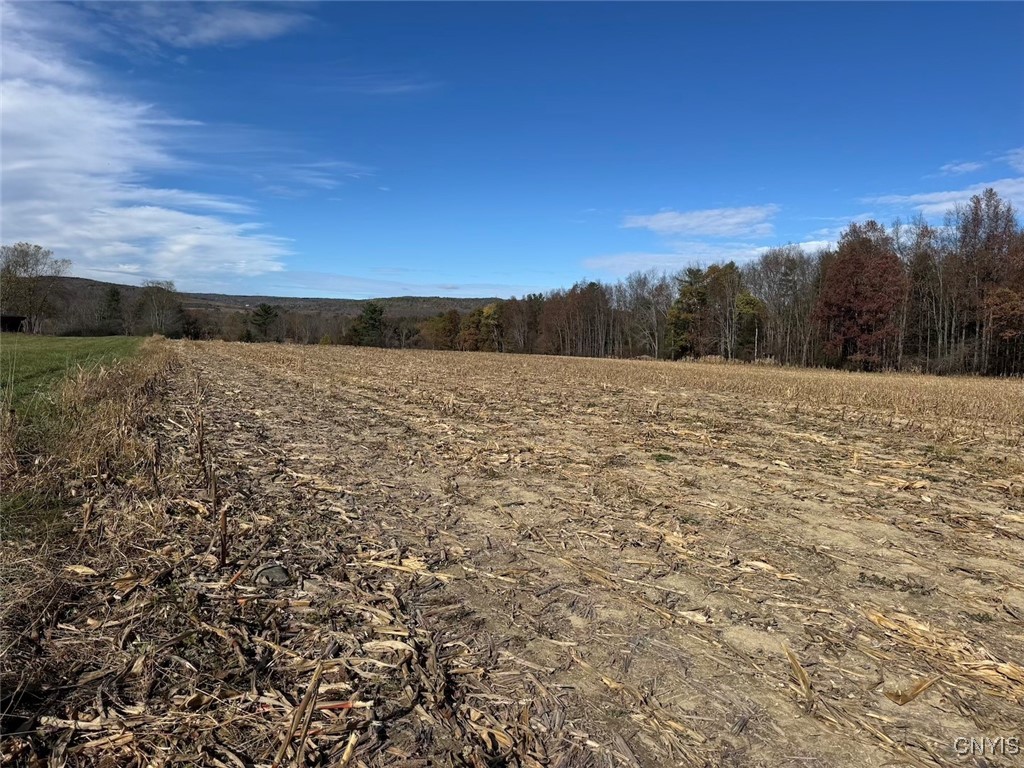 White Creek Road Belfast, NY 14711 - Photo 17 of 21