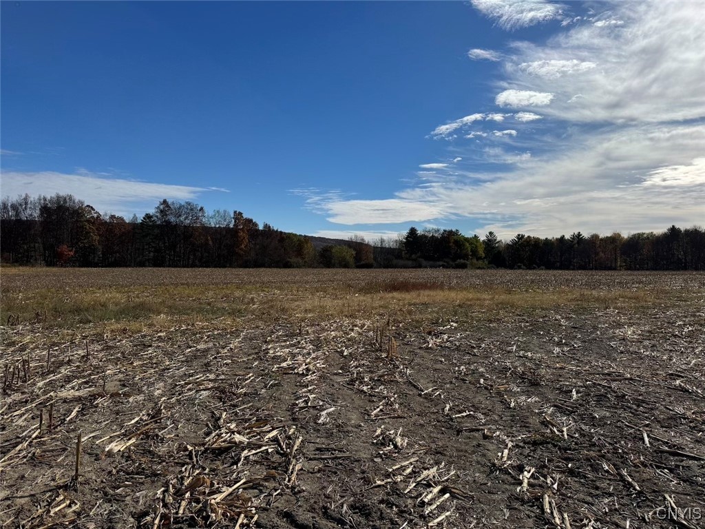 White Creek Road Belfast, NY 14711 - Photo 20 of 21