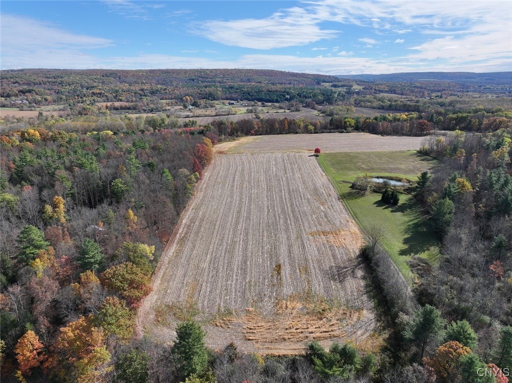 White Creek Road Belfast, NY 14711 - Photo 6 of 21