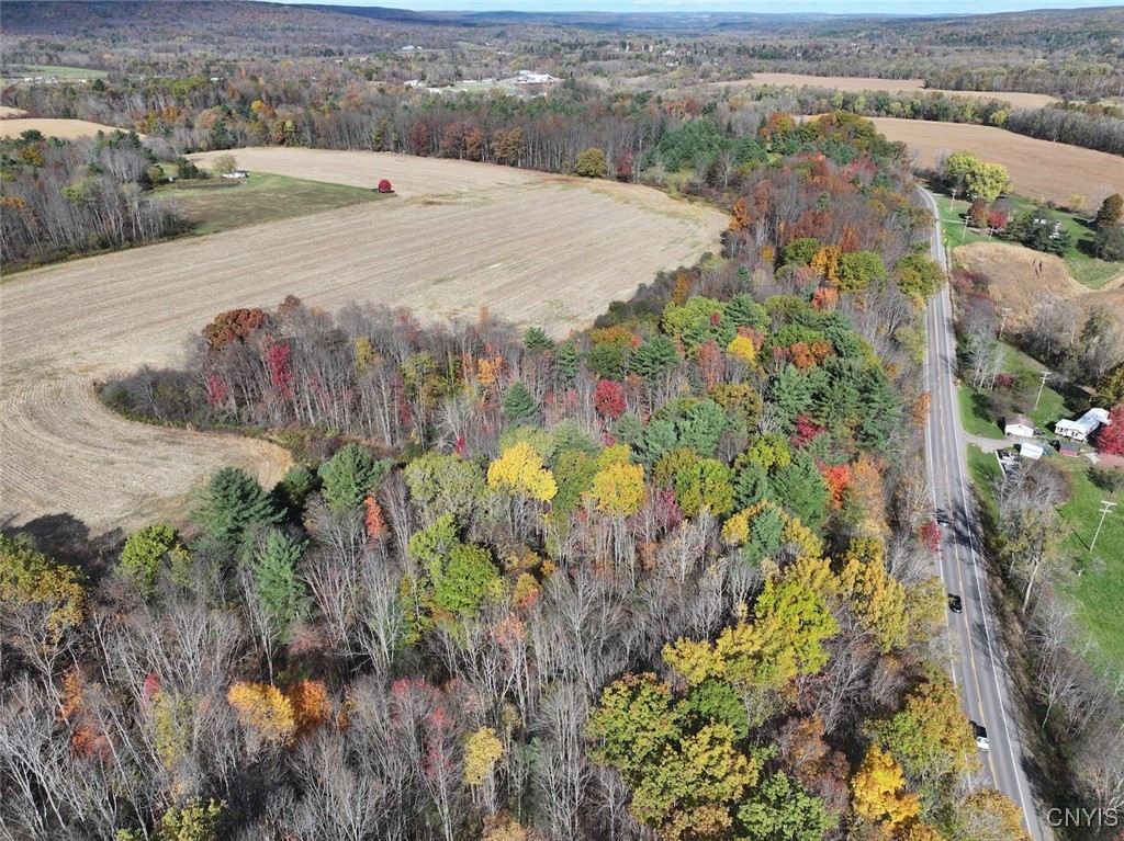 White Creek Road Belfast, NY 14711 - Photo 8 of 21