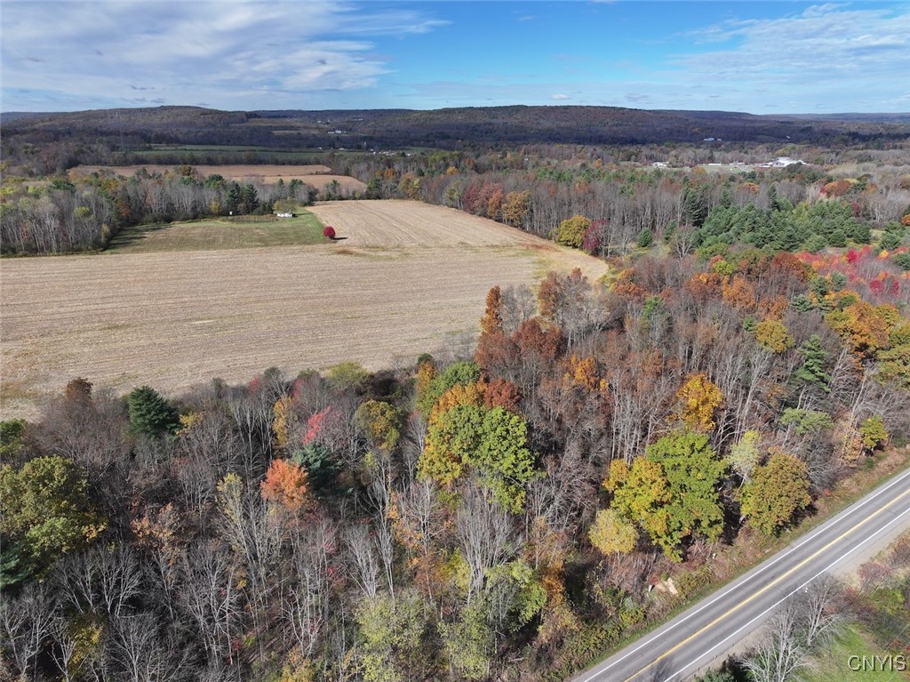 White Creek Road Belfast, NY 14711 - Photo 10 of 21