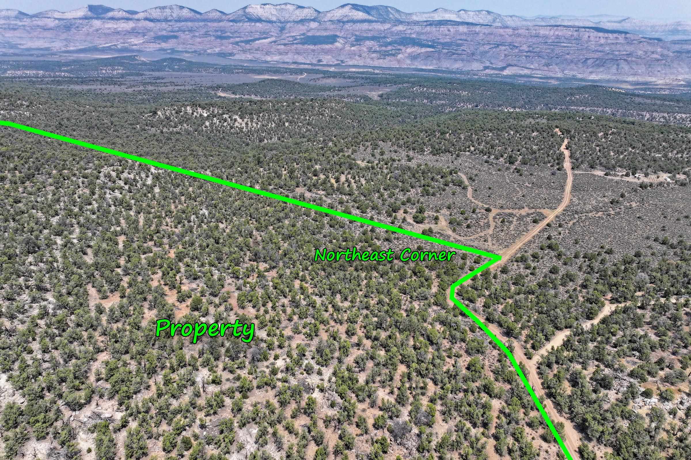 1775 35 1/10 Road De Beque, CO 81630 - Photo 8 of 36