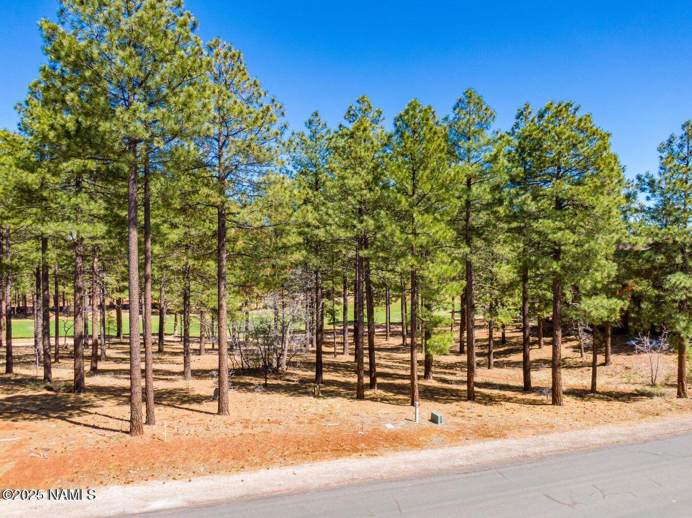 4160 Lariat Loop Flagstaff, AZ 86005 - Photo 28 of 30 IMG_1301