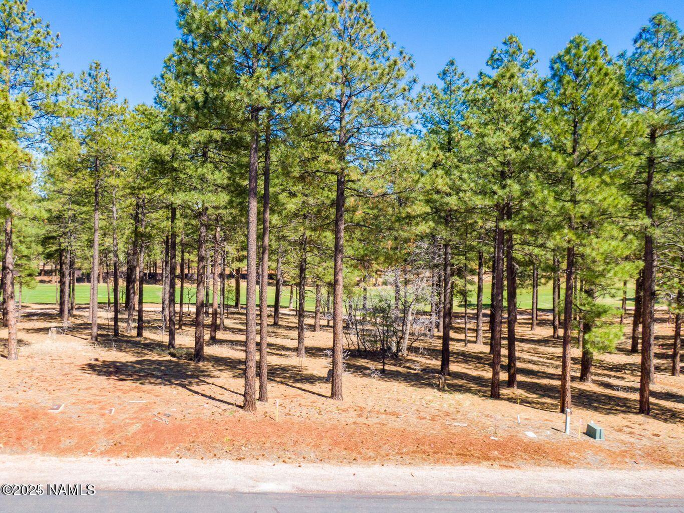 4160 Lariat Loop Flagstaff, AZ 86005 - Photo 29 of 30 IMG_1300