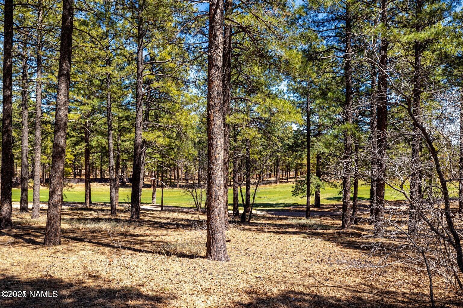 4160 Lariat Loop Flagstaff, AZ 86005 - Photo 3 of 30 IMG_1322