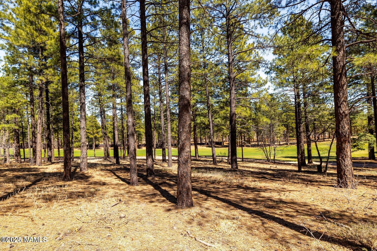 4160 Lariat Loop Flagstaff, AZ 86005 - Photo 6 of 30 IMG_1324