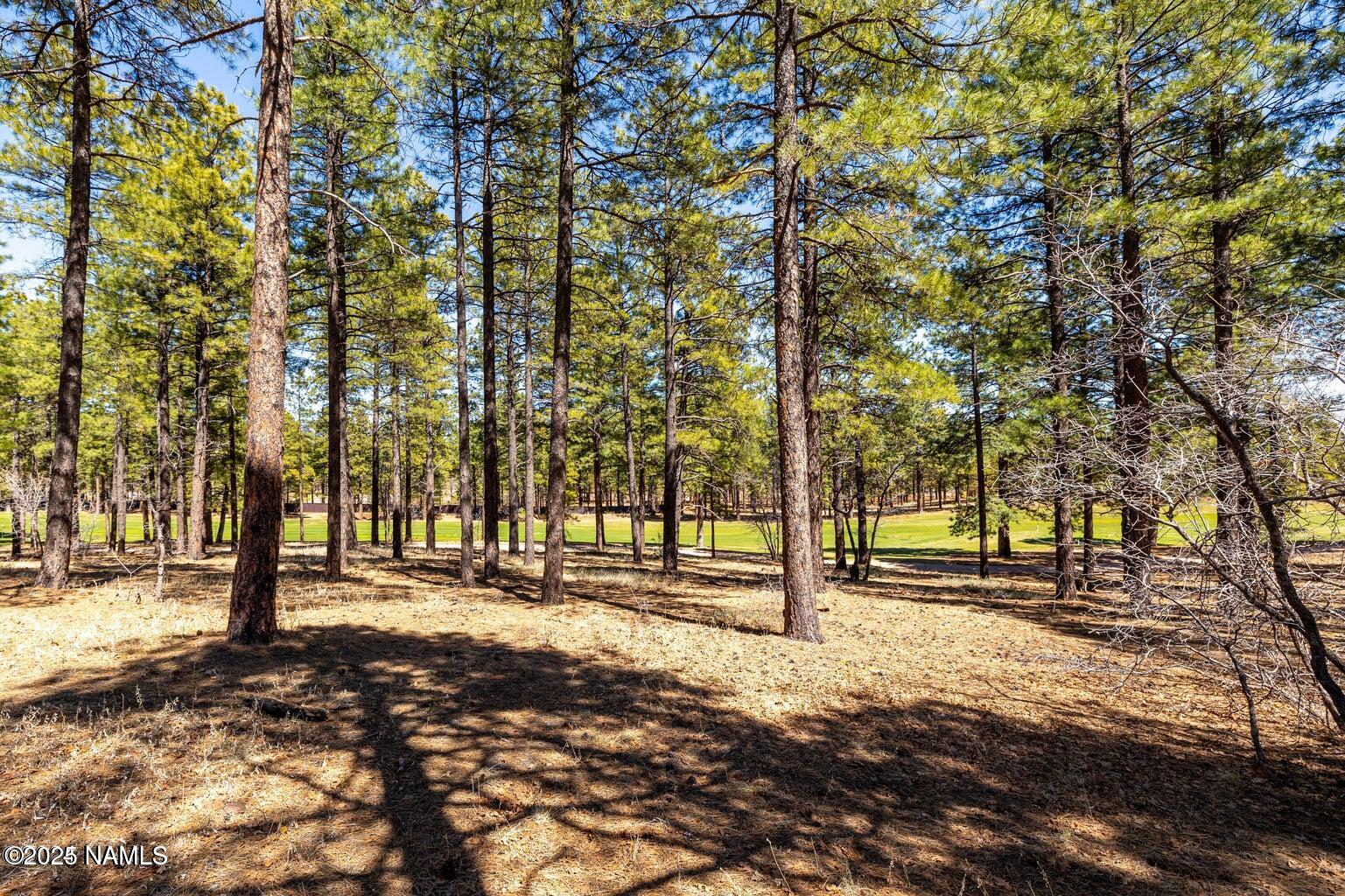 4160 Lariat Loop Flagstaff, AZ 86005 - Photo 7 of 30 IMG_1320