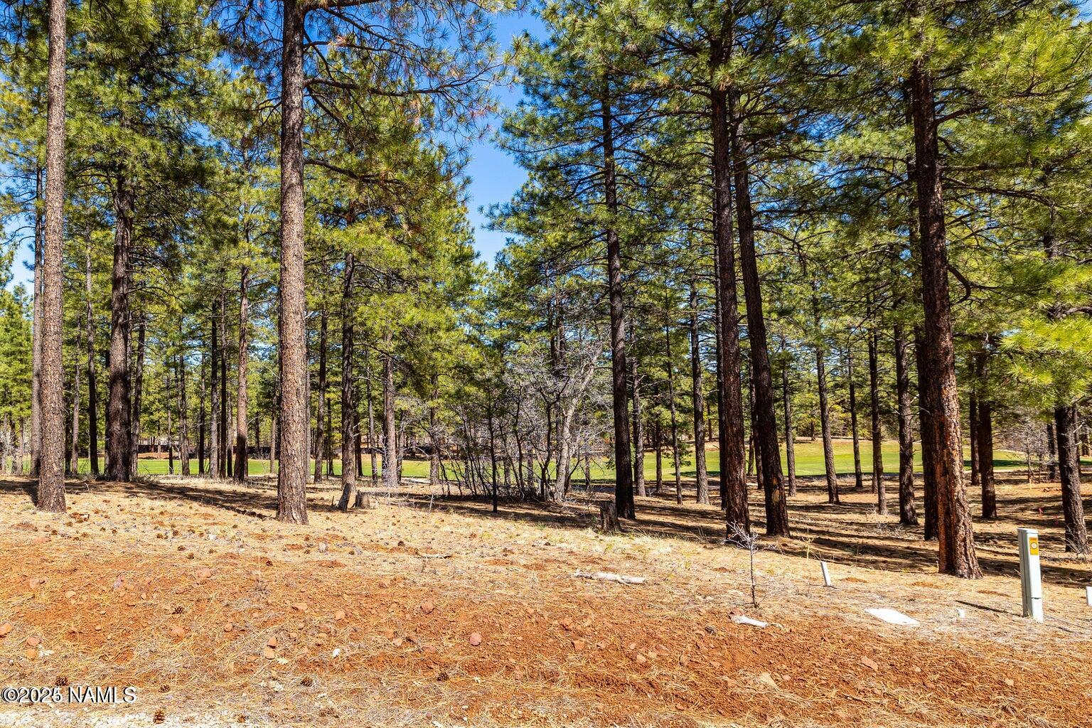 4160 Lariat Loop Flagstaff, AZ 86005 - Photo 9 of 30 IMG_1318