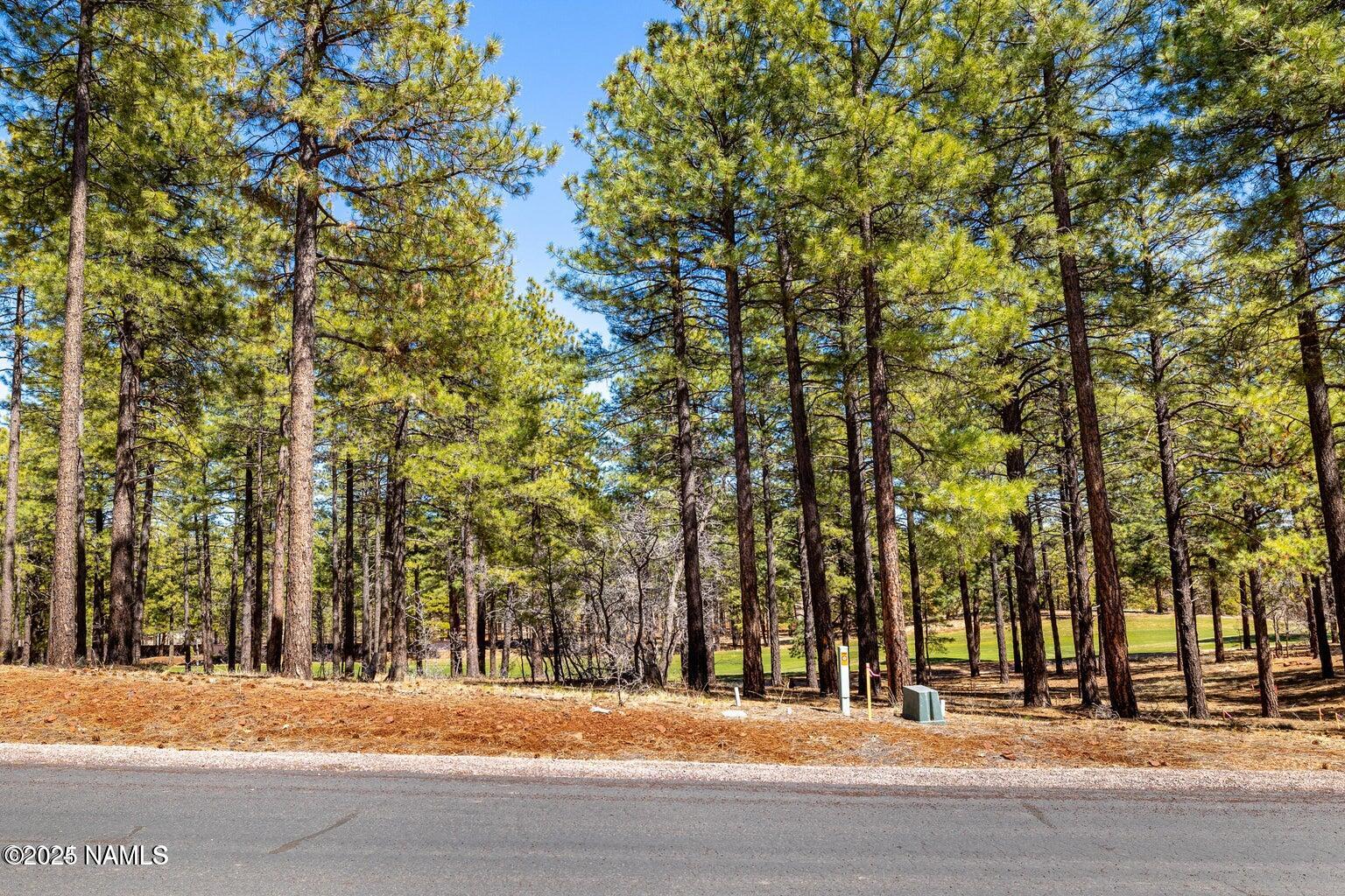 4160 Lariat Loop Flagstaff, AZ 86005 - Photo 10 of 30 IMG_1317