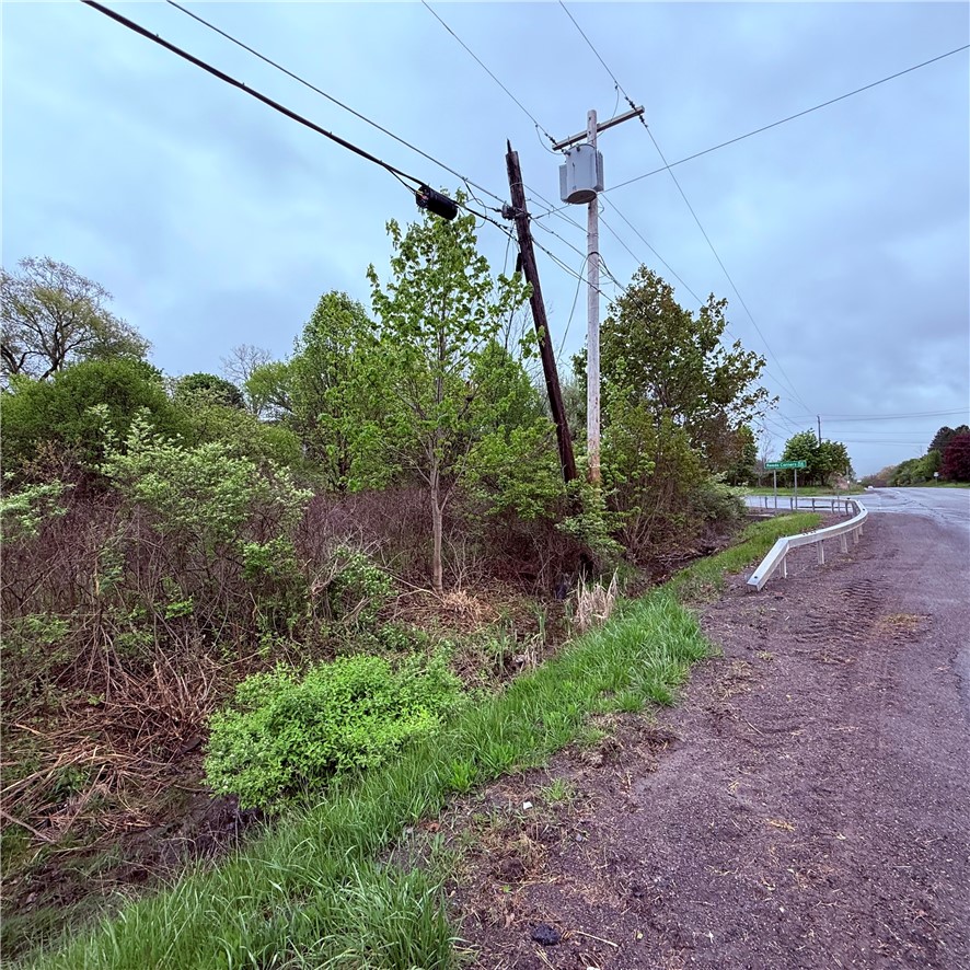 0 Reeds Corners Road Dansville, NY 14437 - Photo 13 of 13