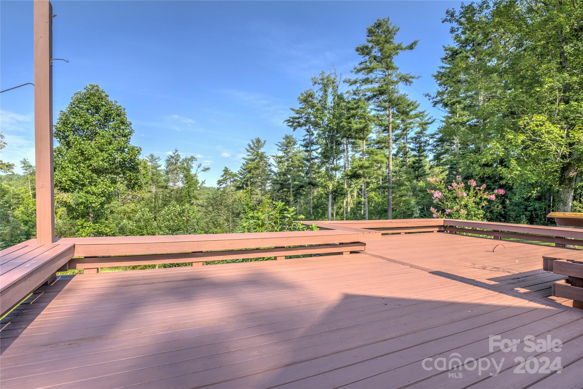 911 Jupiter Road Weaverville, NC 28787 - Photo 20 of 39 a view of outdoor space and yard