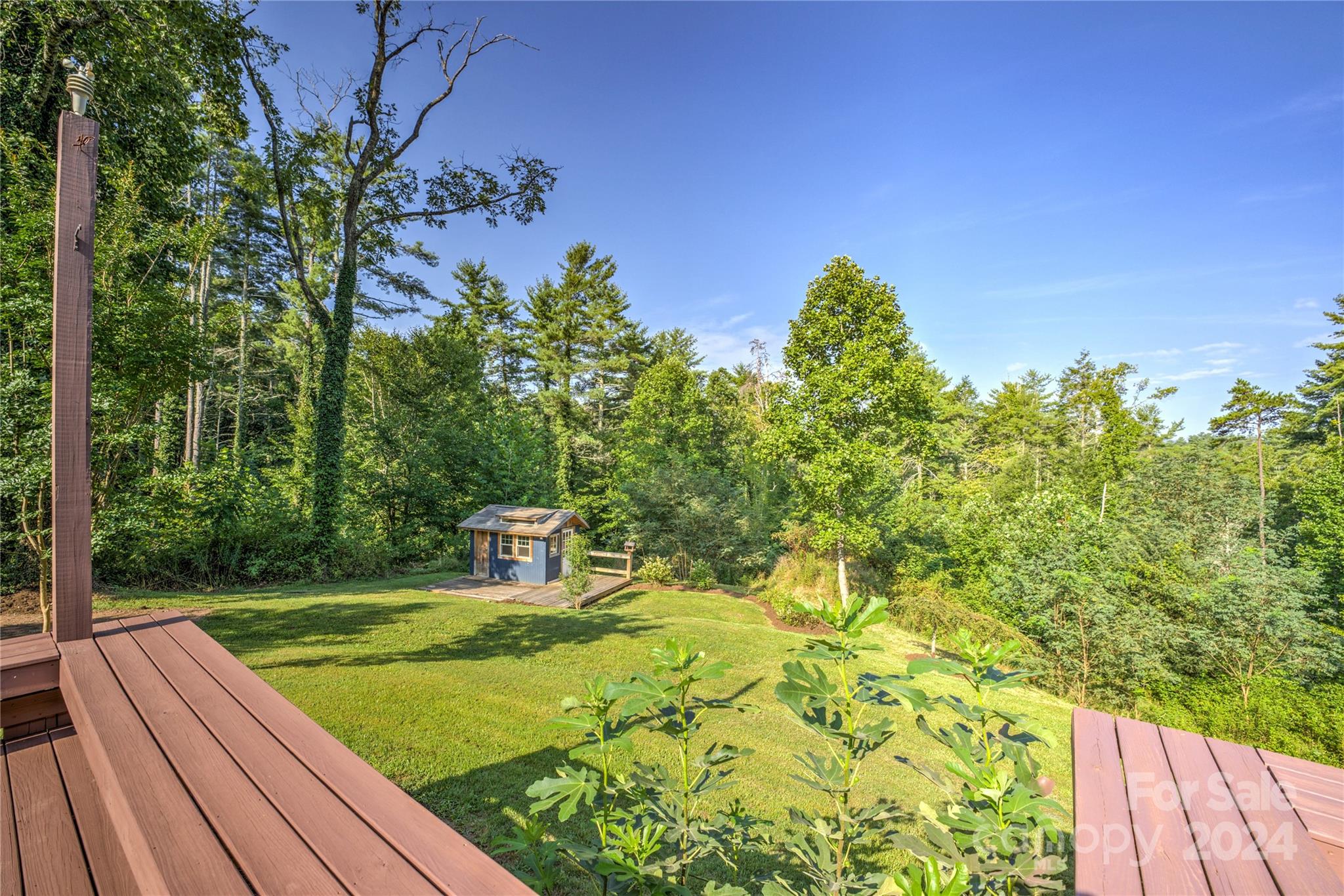 911 Jupiter Road Weaverville, NC 28787 - Photo 23 of 39 a view of a back yard
