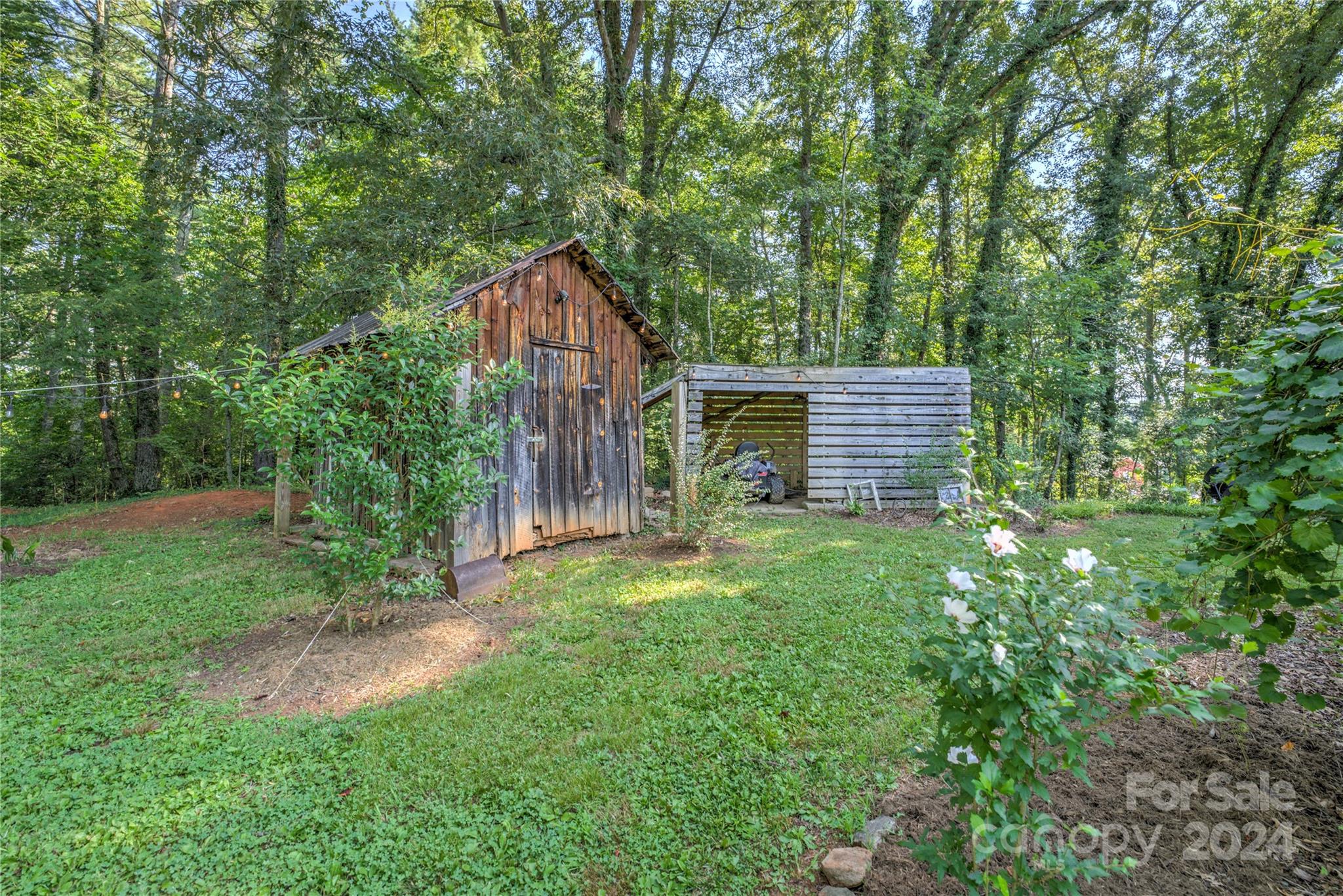 911 Jupiter Road Weaverville, NC 28787 - Photo 26 of 39 a backyard of a house with plants and large trees