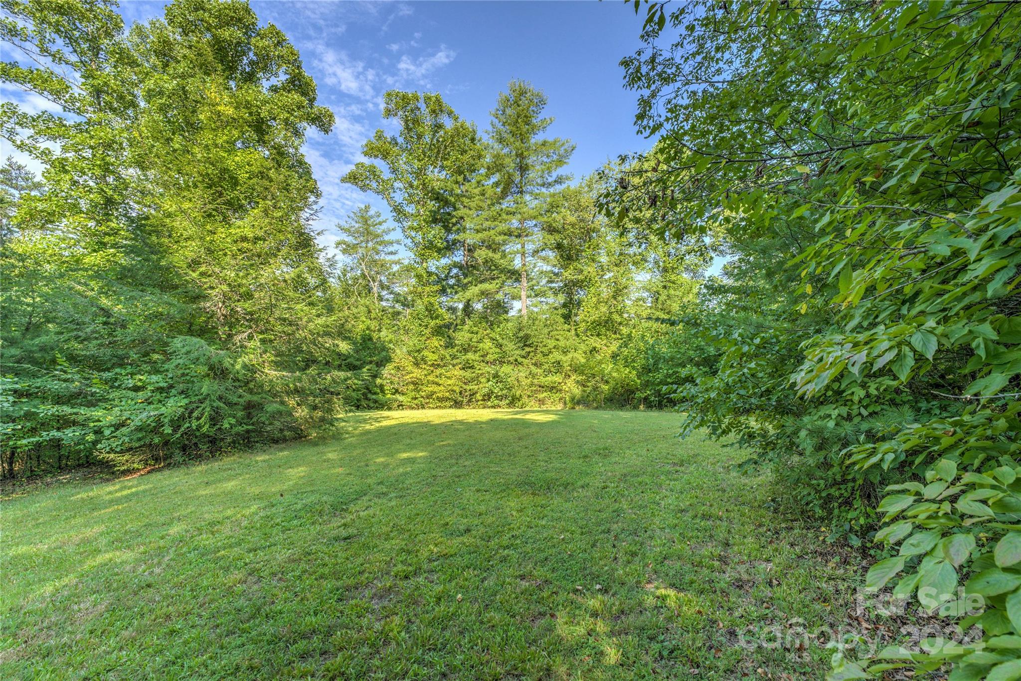 911 Jupiter Road Weaverville, NC 28787 - Photo 34 of 39 a view of a yard with a tree