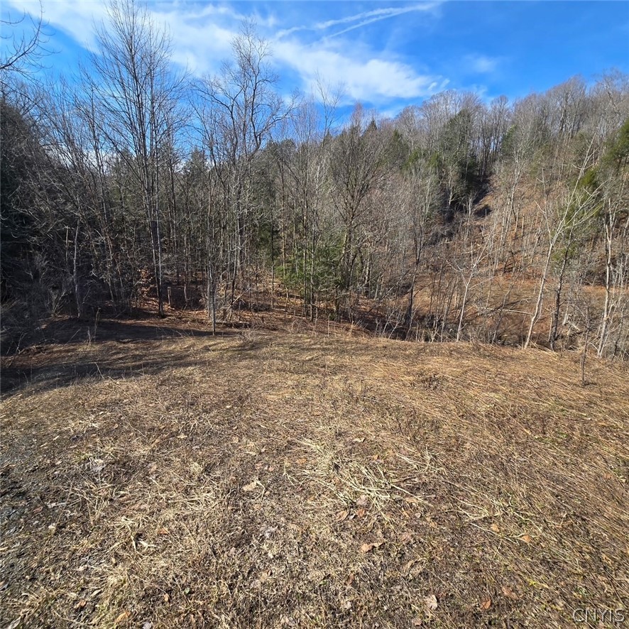 Newport Road Utica, NY 13502 - Photo 3 of 4